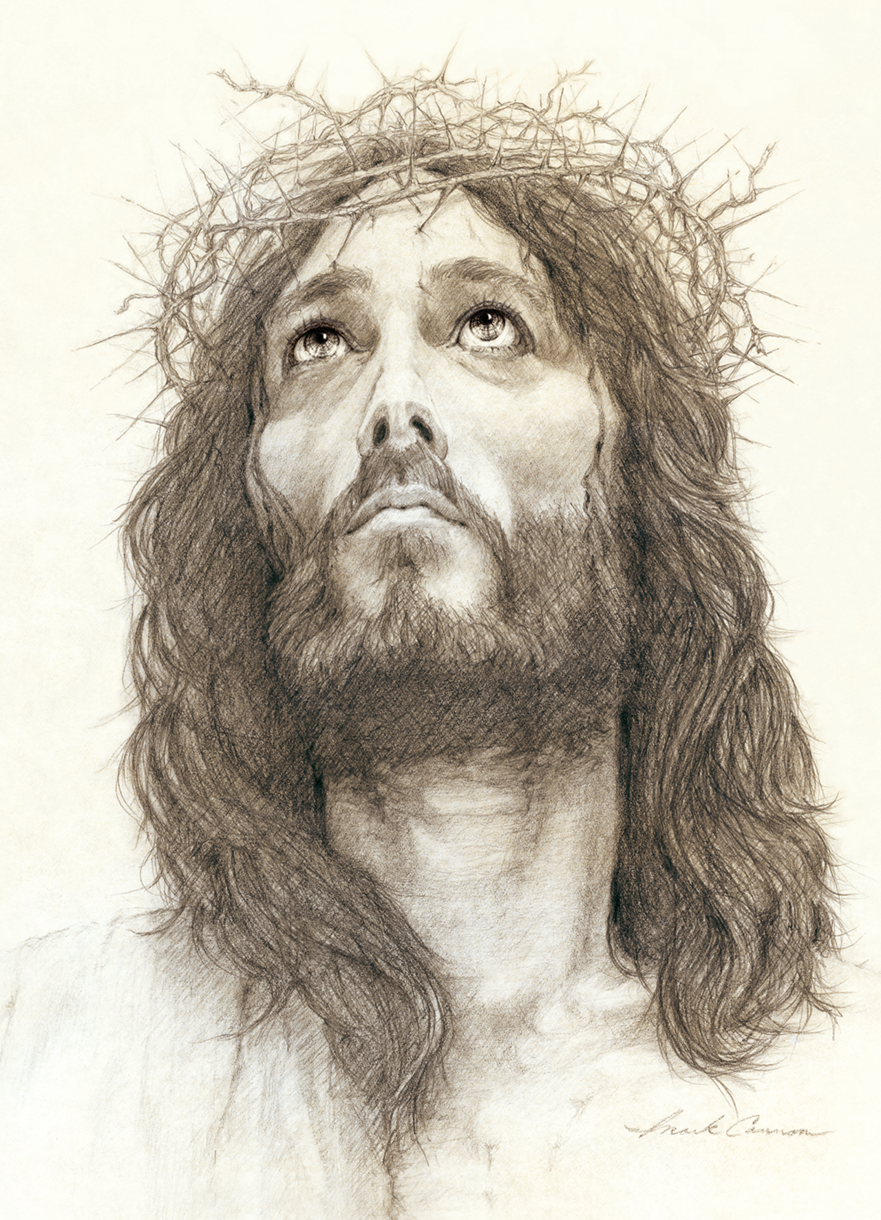 Crown of Thorns
